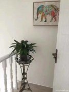 出售，新房源牡丹亭苑排屋 ，有车库，有花园.......